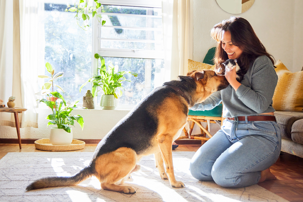 Woman sitting on floor training her dog