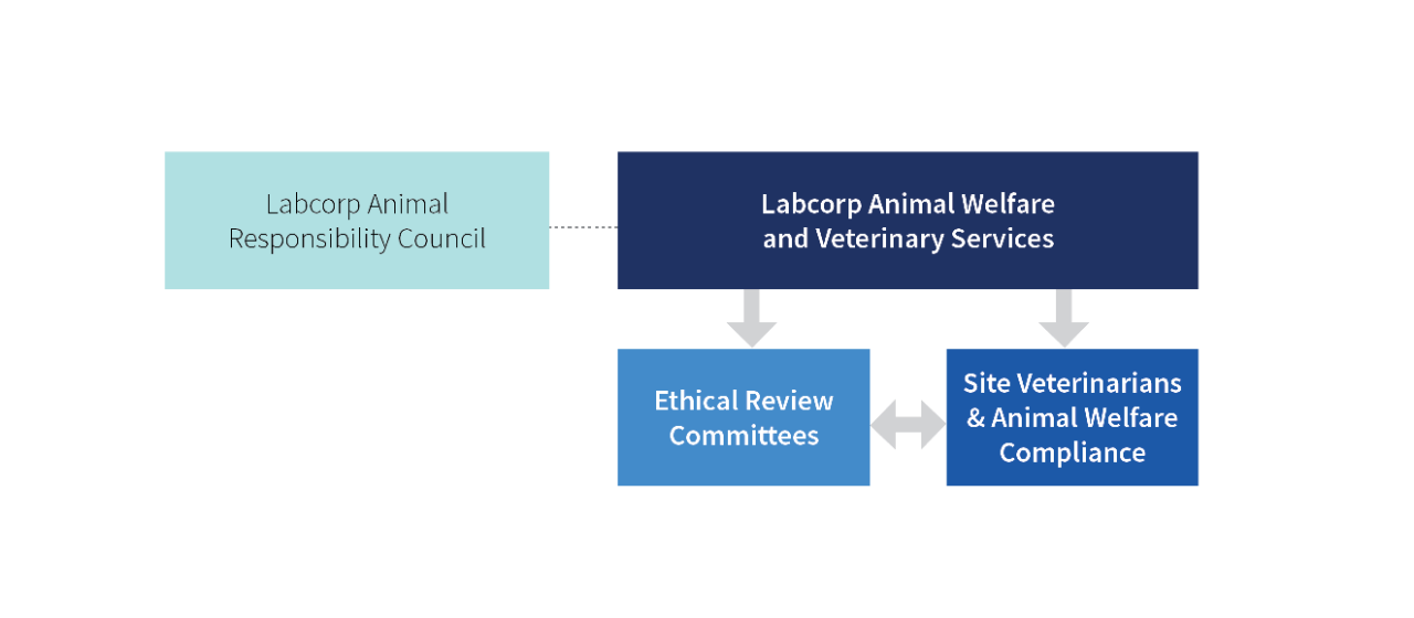 coc-website-labcorp-animal-responsibility-council-(1)