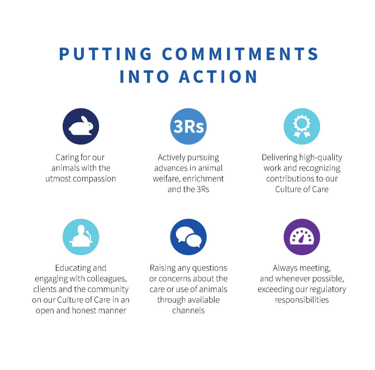 coc-website-putting-commitments-into-action