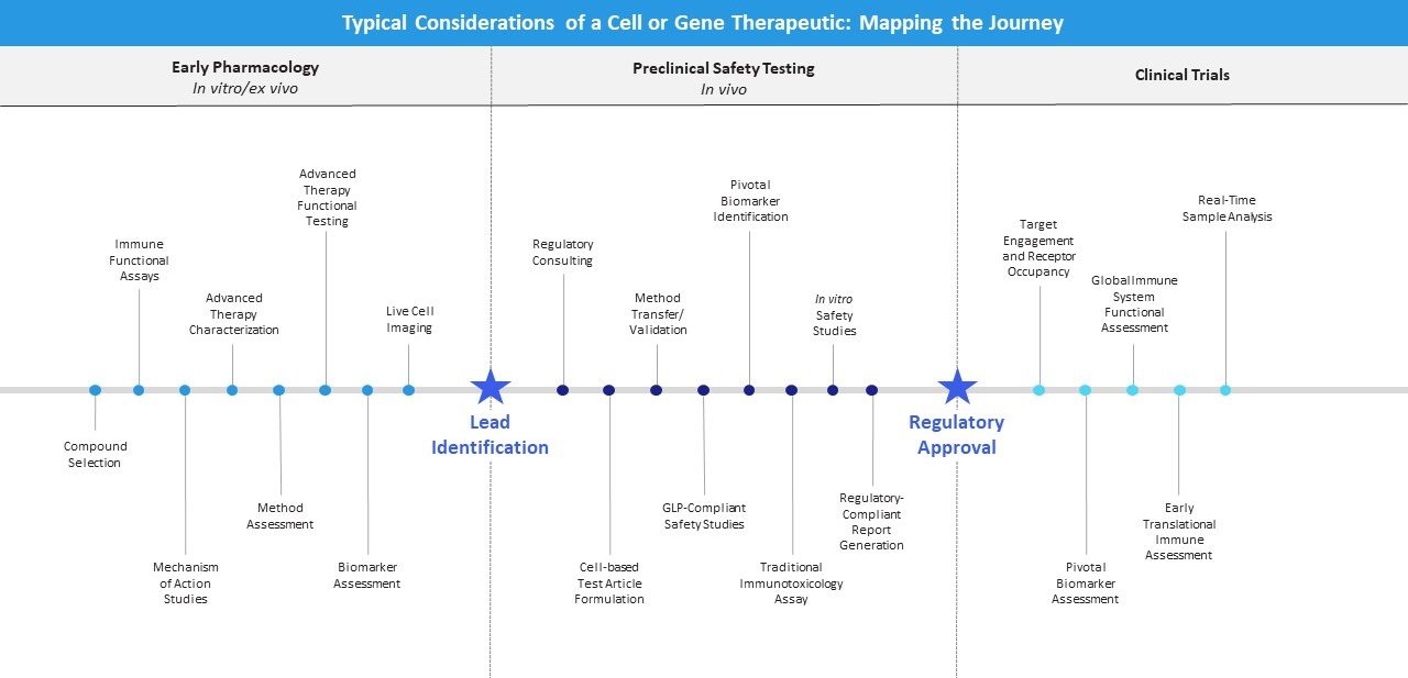 Typical Considerations of a Cell or Gene Therapeutic: Mapping the journey. Early pharmacology (in vivo/ex vivo), Preclinical Safety Testing (in vivo), Clinical Trials
