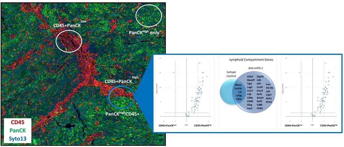 Explore tissue heterogeneity through spatial transcriptomic profiling